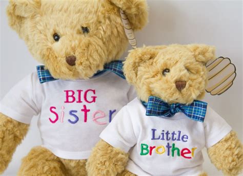 big sister brother little sister brother matching teddy bears etsy