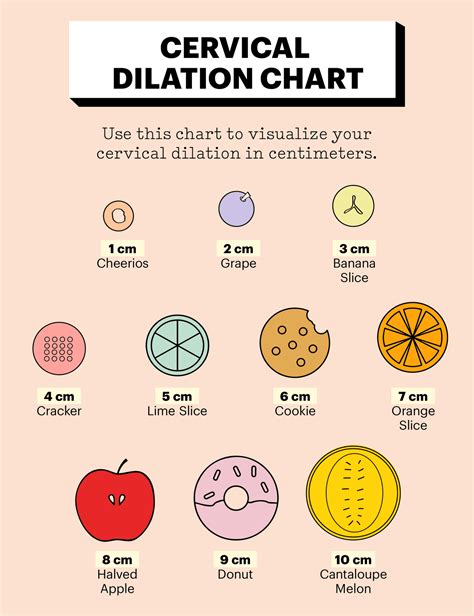 Cervix Dilation Chart The Stages Of Labor In Pictures
