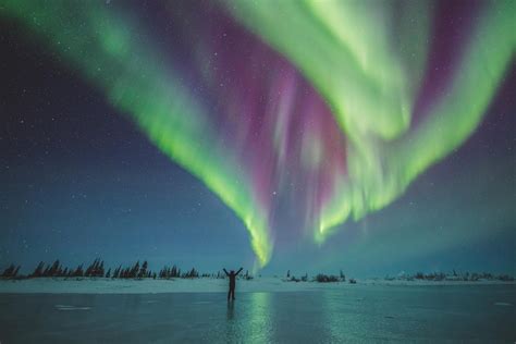 Look Up For Northern Lights And Winter Nights In Churchill Manitoba