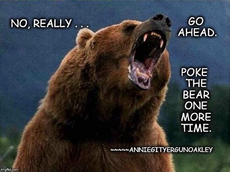 The Bear Truth Bear Quote Bear Dont Poke The Bear