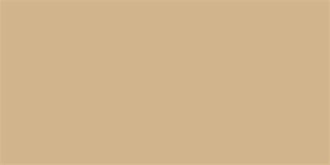 1200x600 Tan Solid Color Background