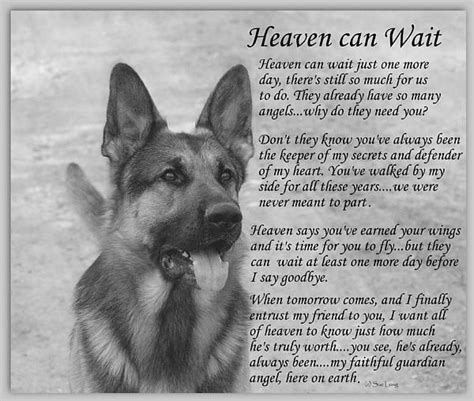 Heaven Can Wait Dog Poems Dog Quotes Pet Remembrance