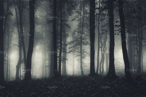 Dark Haunted Forest At Night Containing Dark Haunted And Mysterious