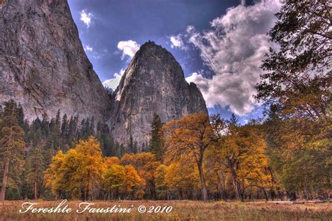 Yosemite Rock Form Fall Trees Surround A Rock Form Fereshte