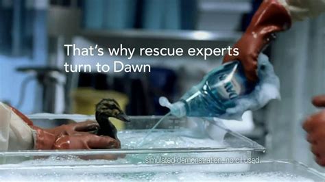 Dawn Tv Spot Saving Wildlife Ispot Tv