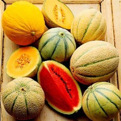 Melons, Ingredients | Delia Online