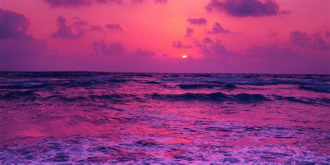 1440x720 Horizon Pink Sunset Near Sea 1440x720 Resolution Wallpaper Hd