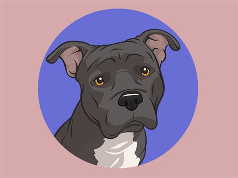 Make A Cartoon Of Your Dogs Photo Preserve Memories