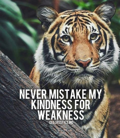 Pin By Andrea Tht On Dieren Diverse Tiger Quotes Inspirational