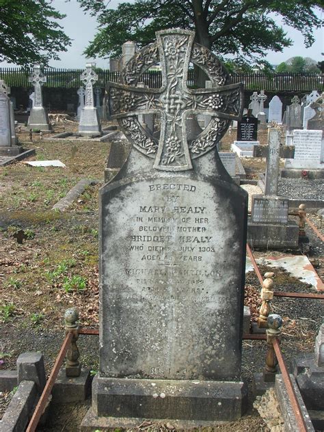 Bridget Healy 66625 Mount Saint Lawrence Cemetery