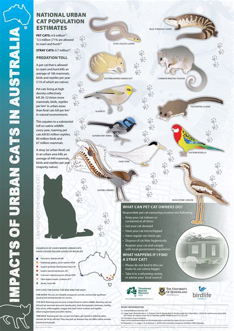 Feral Cats Impact On Our Threatened Native Species