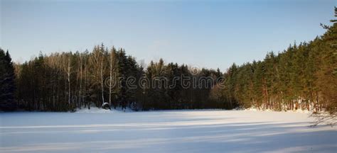 Winter Meadow Stock Image Image Of Landscape Cold Beautiful 18037787