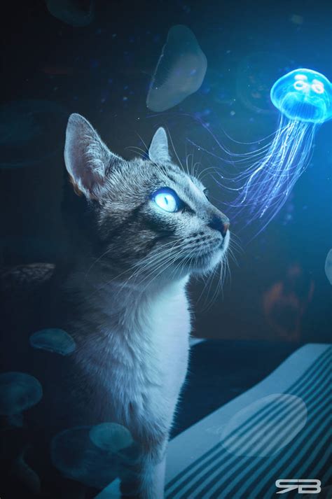 Glowing Cat By Raviedits On Deviantart