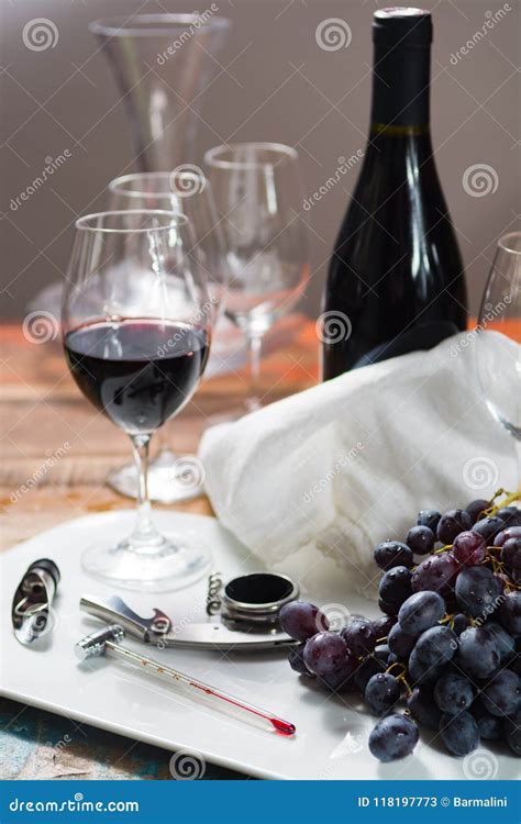 Professional Red Wine Tasting Event With High Quality Wine Glass Stock Image Image Of Bottle