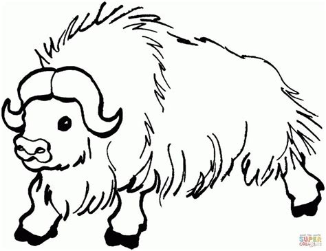 Coloring Pages Yak Cute Coloring Pages Coloring Pages Animal