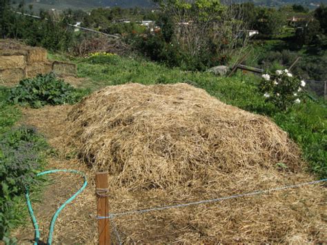 Field Trip Permaculture Biodynamic Garden Gardenerd