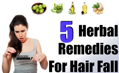 5 Herbal Remedies For Hair Fall Natural Home Remedies And Supplements