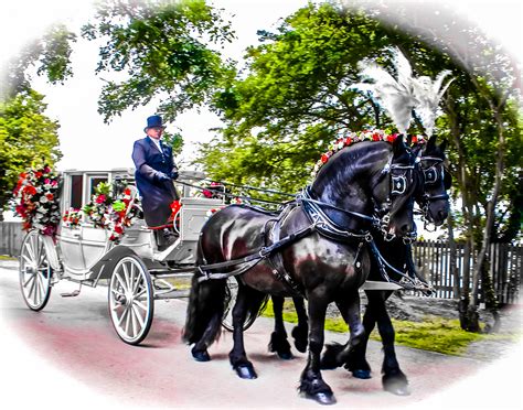Krm Horse Drawn Carriages Wedding Carriages Yorkshire