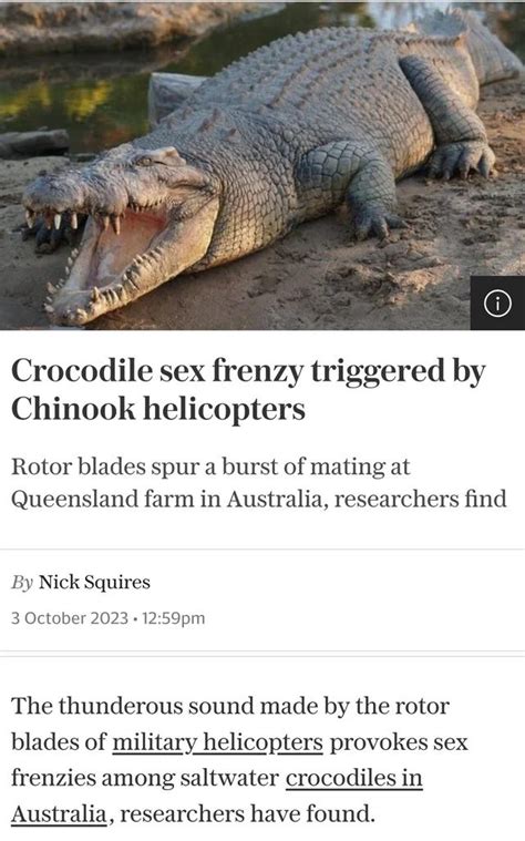 Crocodile Sex Frenzy Triggered By Chinook Helicopters R Australia