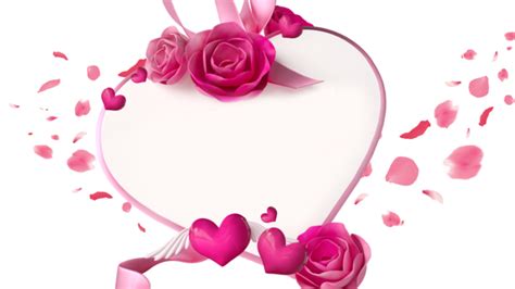 Rose For Love Png Transparent Images Free Download Vector Files Pngtree