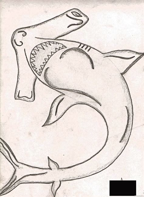 Sea Creature Drawing At Getdrawings Free Download