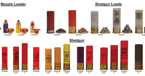 Ammo And Gun Collector Shotgun Shell Gauge And Load Comparison Chart