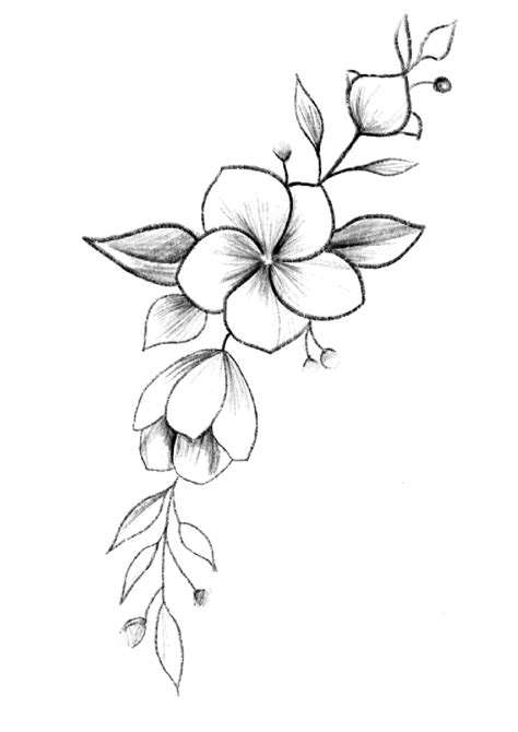 Pin By Farimah Mohsenpour On Blomster Pencil Drawings Of Flowers