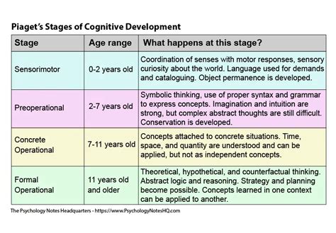 The Jean Piaget Stages Of Cognitive Development The Psychology Notes