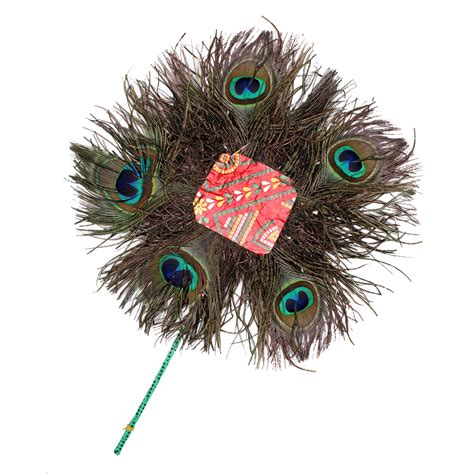 Buy Majik Handmade Natural Peacock Feather Mor Pankh Fan For Home