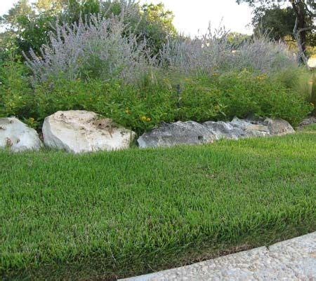 We did not find results for: Zoysia Grass - Highly Drought Resistant This is what kind of grass I want in my yard. | Backyard ...
