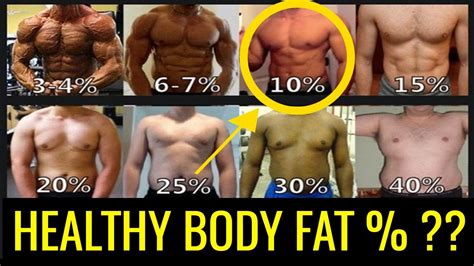 What Is A Healthy Body Fat Percentage For Men Charts Ranges