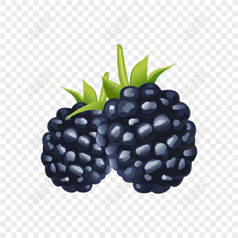 Gambar Buah Tanpa Warna