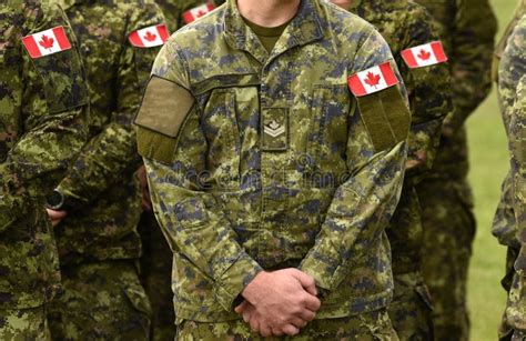 Troupes Canadiennes Armée Canadienne Les Drapeaux Du Canada Sur Des