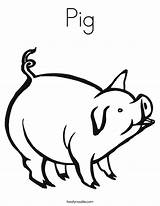 Pig Coloring Twistynoodle Pigs Built California Usa sketch template