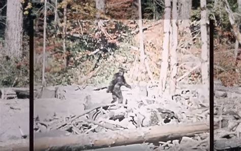 Patterson Gimlin Film 4k Remaster Is One Of The Best Enhancements To