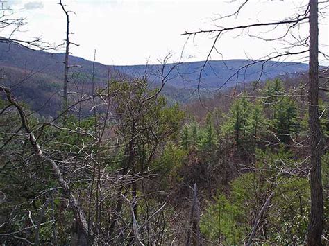 Long Mountain Hike