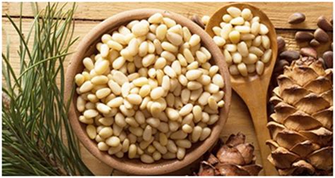 Amazing Health Benefits Of Eating Pine Nuts Daily Home Health Beauty Tips