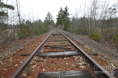Abandoned Railroad Tracks Photograph By Jonathan Welch Fine Art America