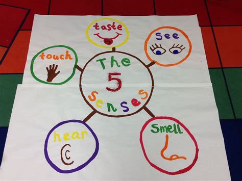 5 Senses Poster Kindergarten Smarts Senses Preschool Kindergarten