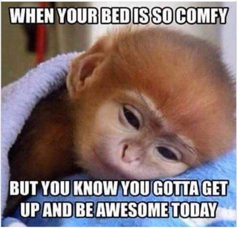 How i feel after hard workout after gym meme | funny saturday workout meme: Get out there and be awesome! #saturday #saturdaymorning ...