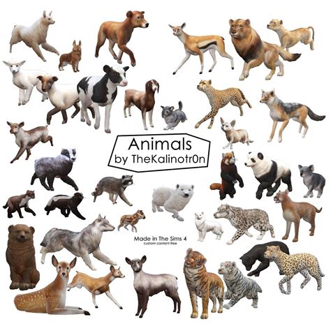 An Image Of Many Different Types Of Animals In The Same Picture