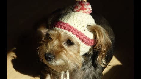 Gorro Para Perros Y Para Perras A Crochethow To Crochet A Dog Hat