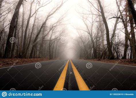 Scenic Country Road On A Foggy Winter Morning Stock Image Image Of