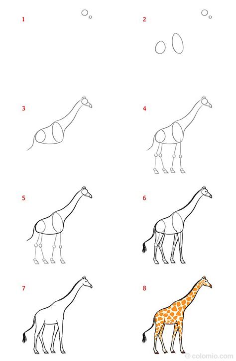 How To Draw A Giraffe Step By Step Easy