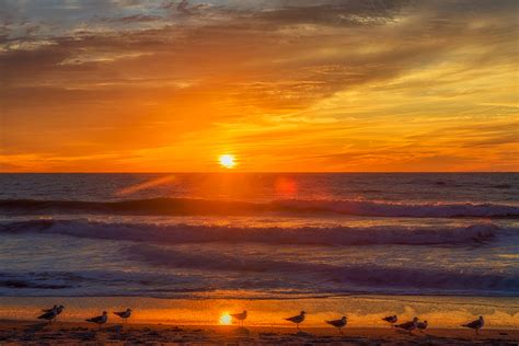Venice Florida Sunset Matthew Paulson Photography