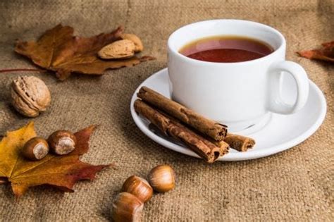 Healthy Ginger Cinnamon Tea Recipe