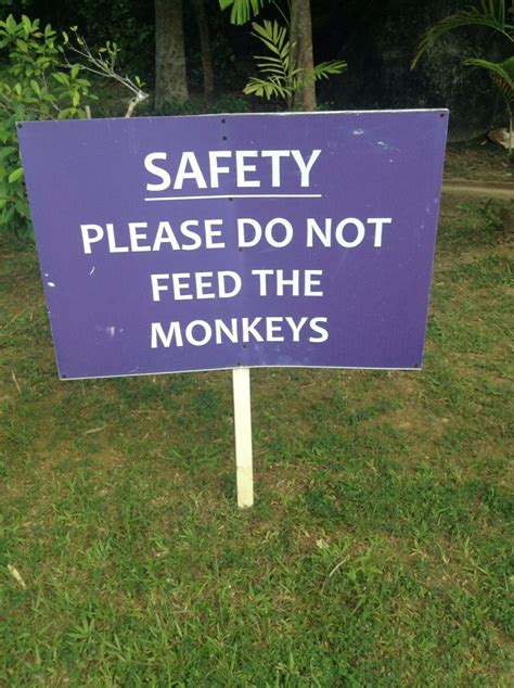 Please Do Not Feed The Monkeys Warning Sign From Langkawi Island