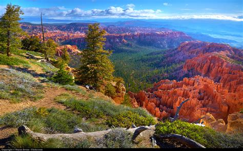 The 6 Best Hikes In Bryce Canyon National Park
