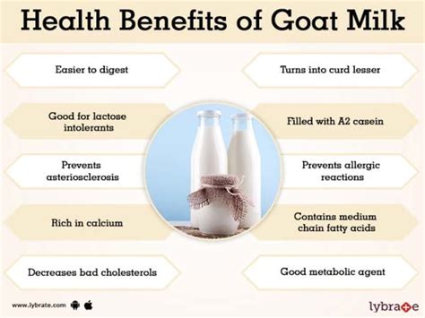 Goat's milk is a good alternative for people allergic to certain compounds in cow's milk, and it has many health benefits. Goat milk benefits for men THAIPOLICEPLUS.COM