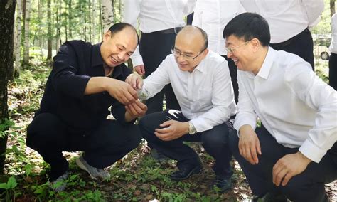 许勤：始终铭记习近平总书记的殷切嘱托 筑牢生态安全屏障推动林区转型发展